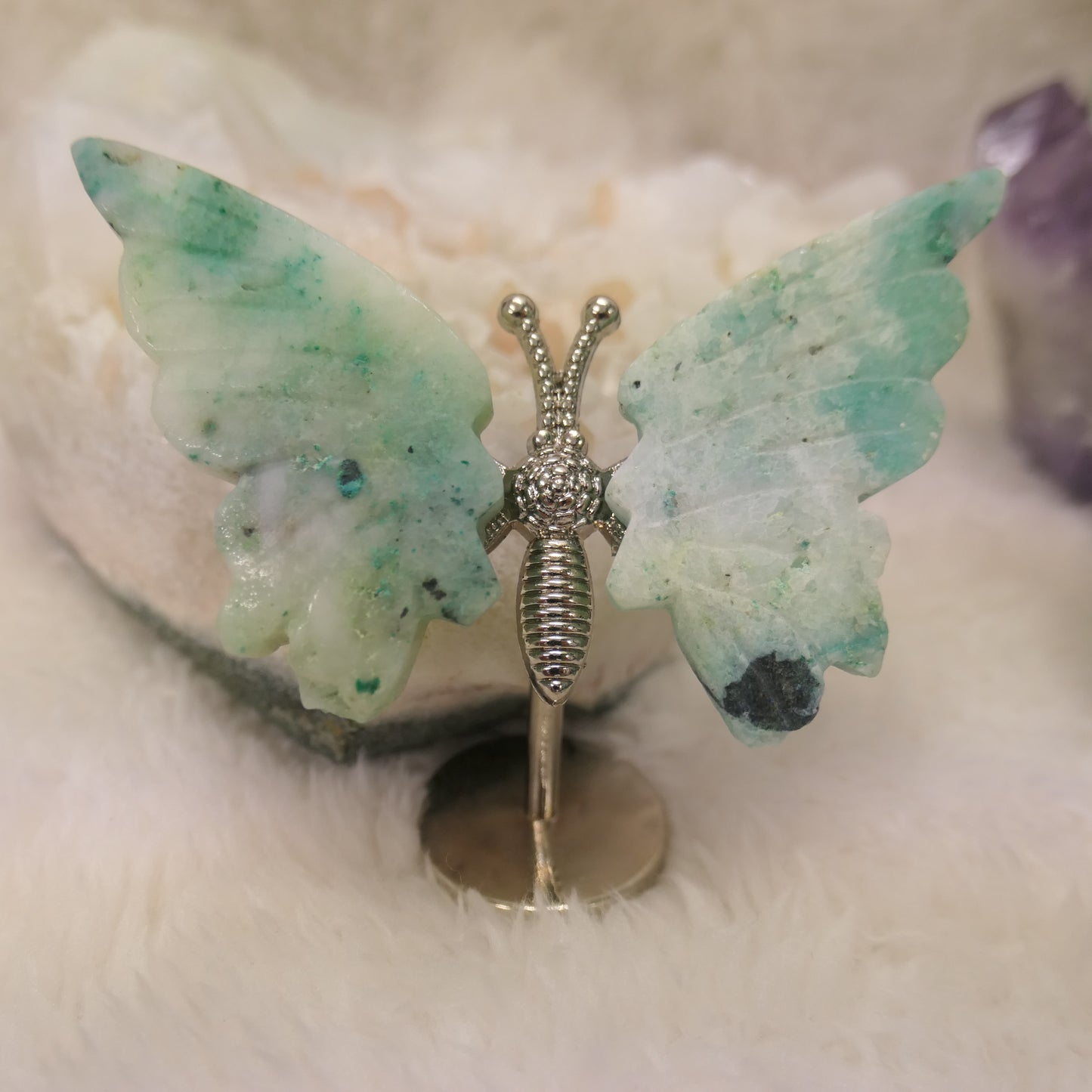 Butterfly on silver metal stand