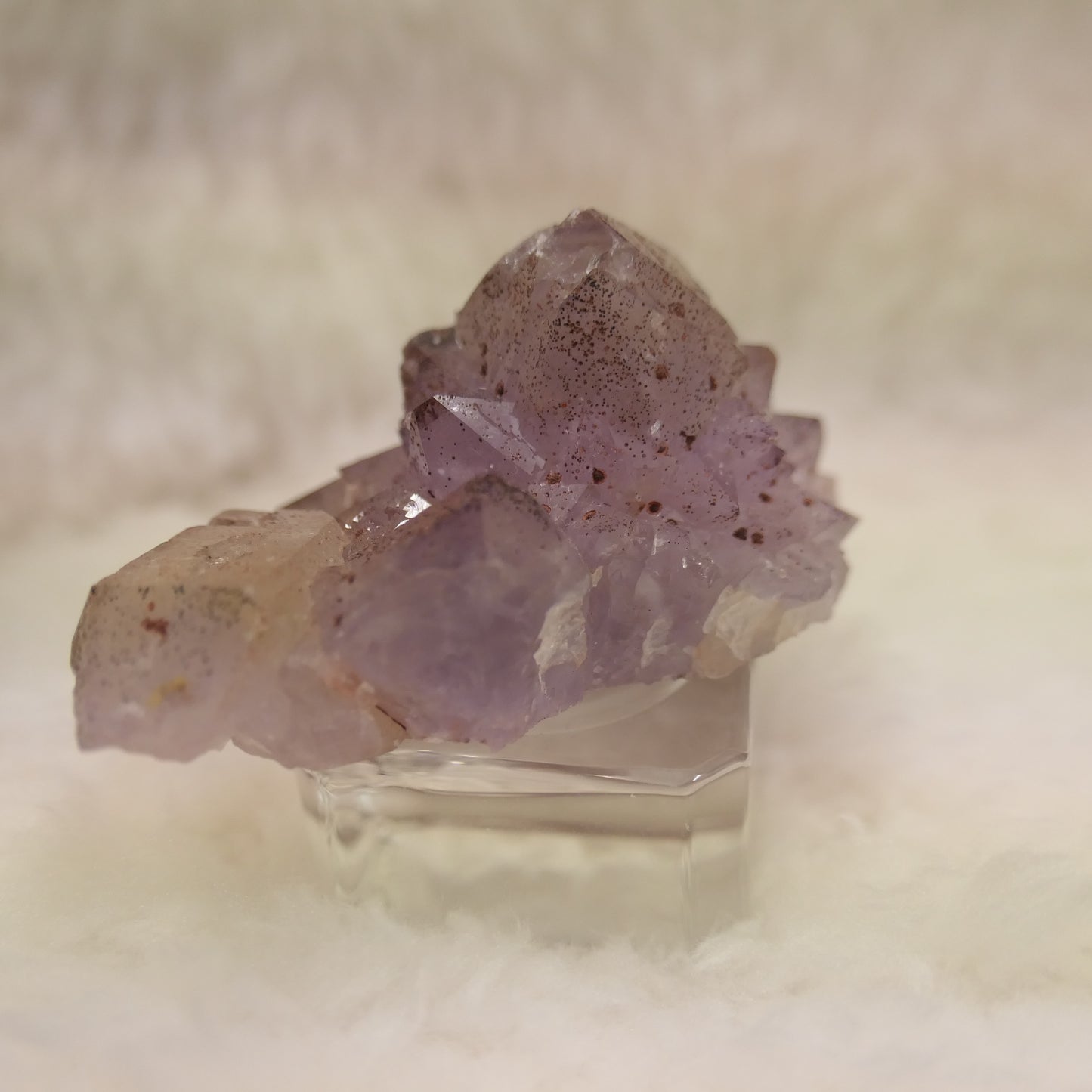 Amethyst 03- Wave Hill NT
