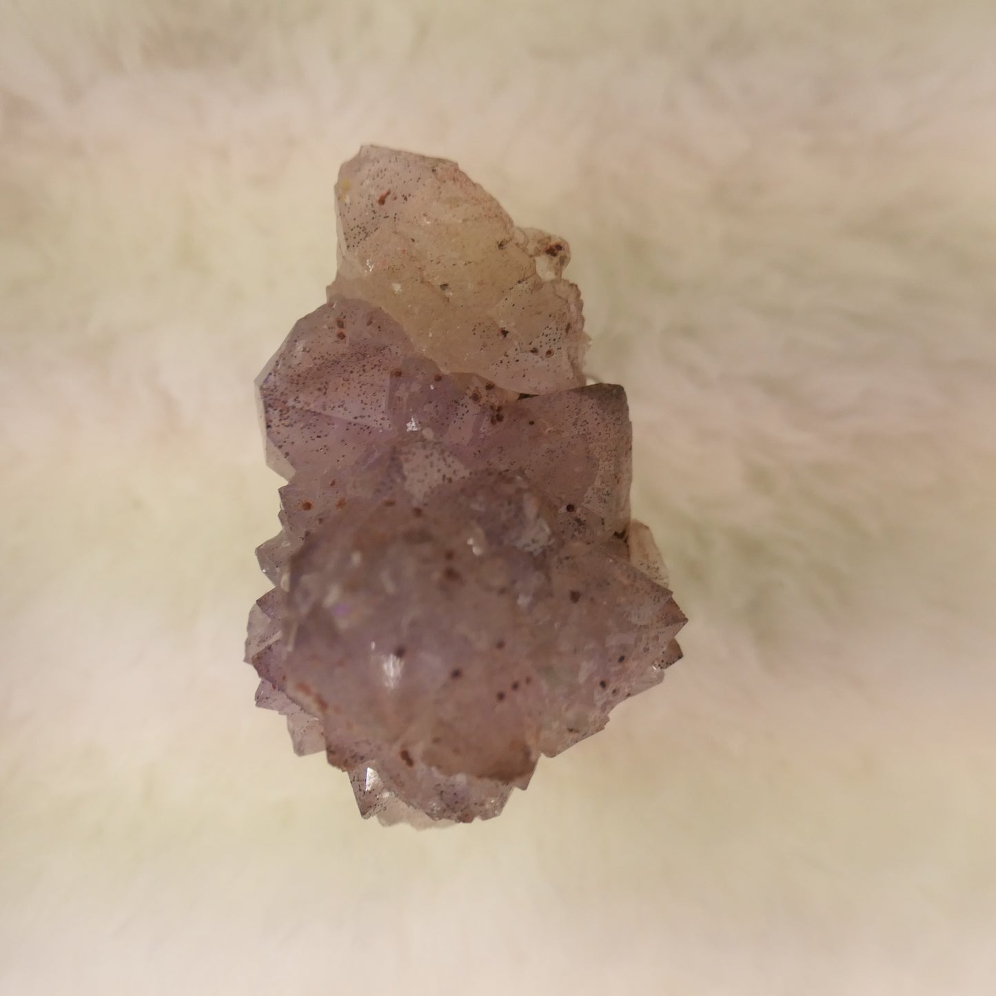 Amethyst 03- Wave Hill NT