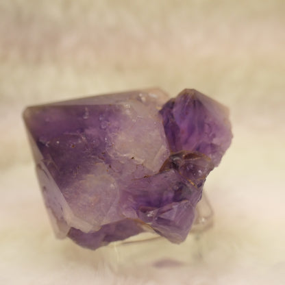 Amethyst 02- Wave Hill NT