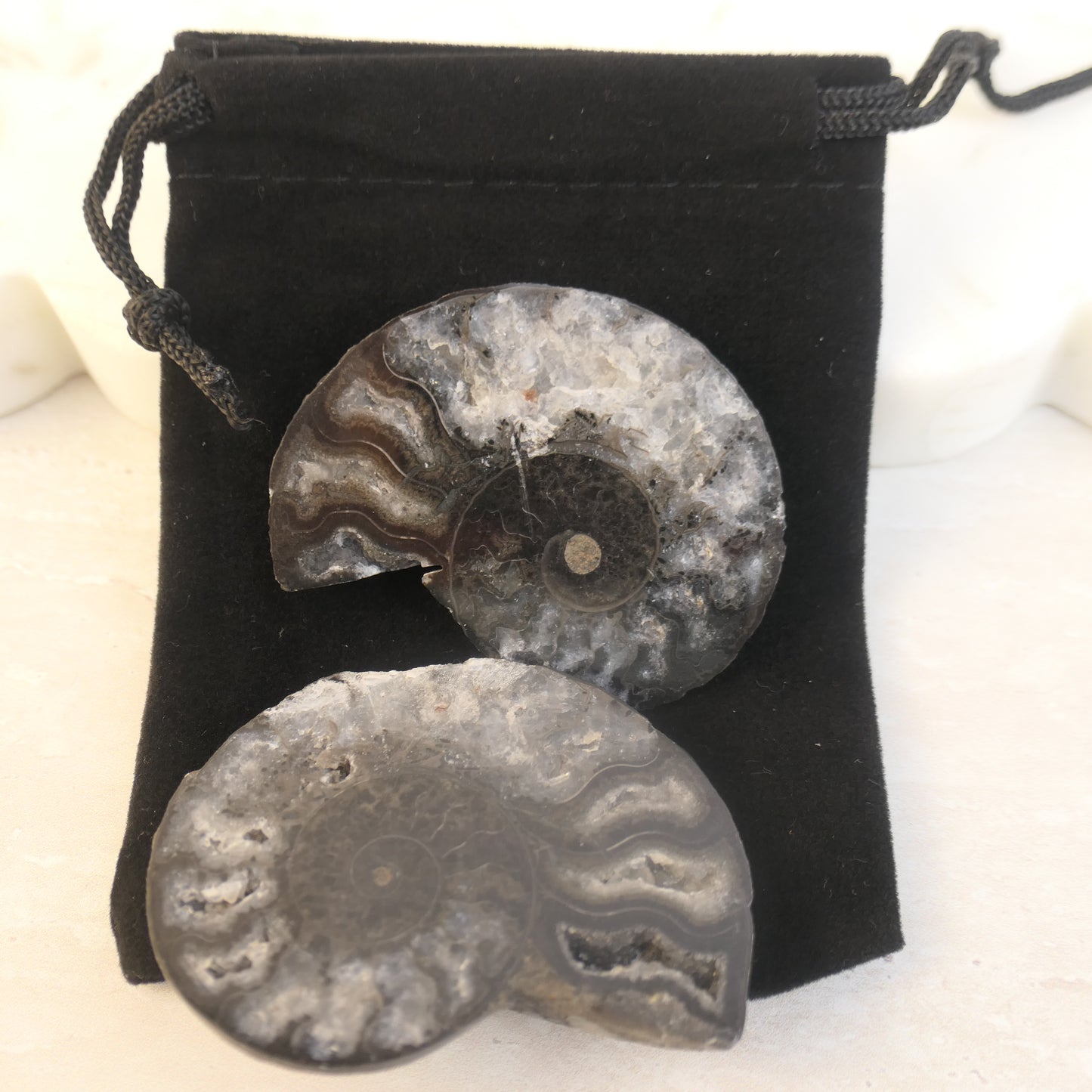 Black Ammonite Pairs with druzy pockets - choose your pair