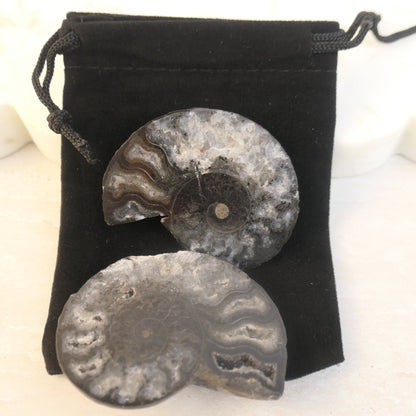 Black Ammonite Pairs with druzy pockets - choose your pair