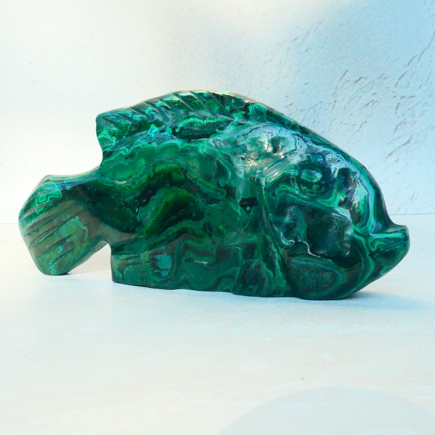 Malachite Fish