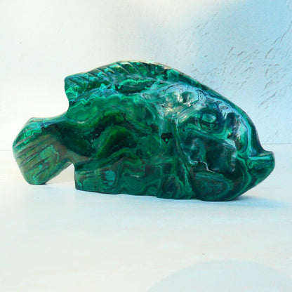 Malachite Fish