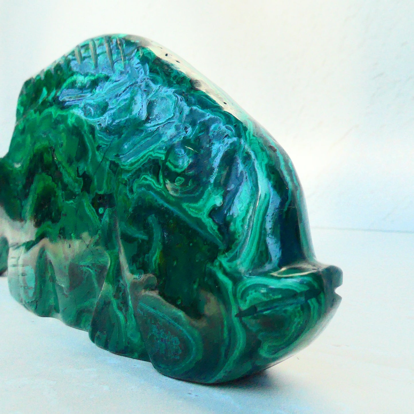 Malachite Fish