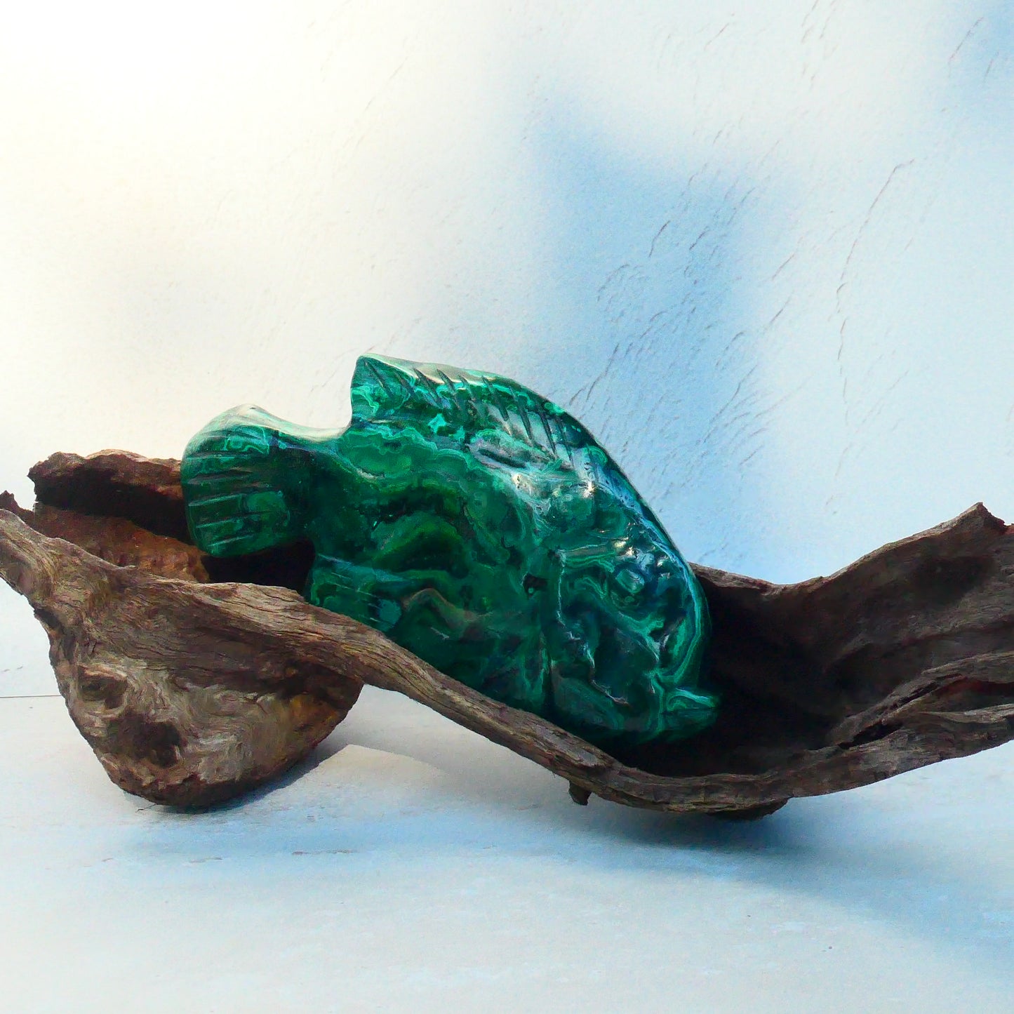 Malachite Fish