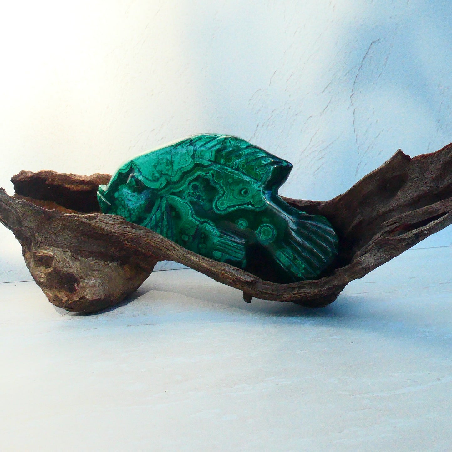 Malachite Fish