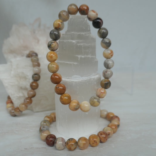 Crazy Lace Agate 8mm Bead Bracelet