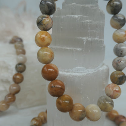 Crazy Lace Agate 8mm Bead Bracelet