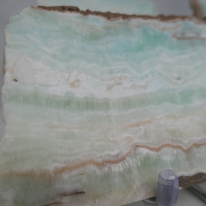Aragonite Slab 16