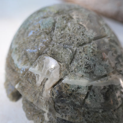 Moss Agate Turtle Carving