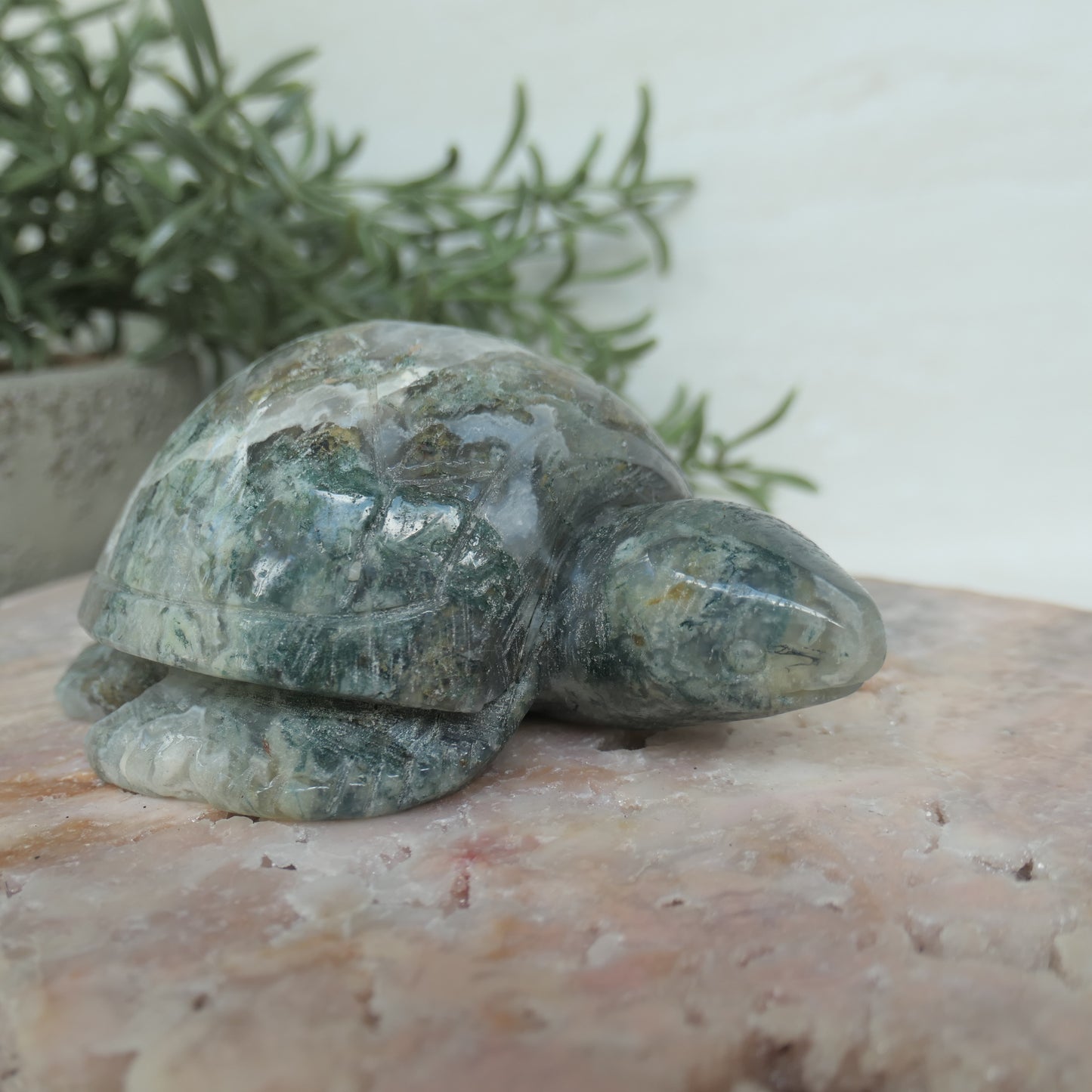 Moss Agate Turtle Carving