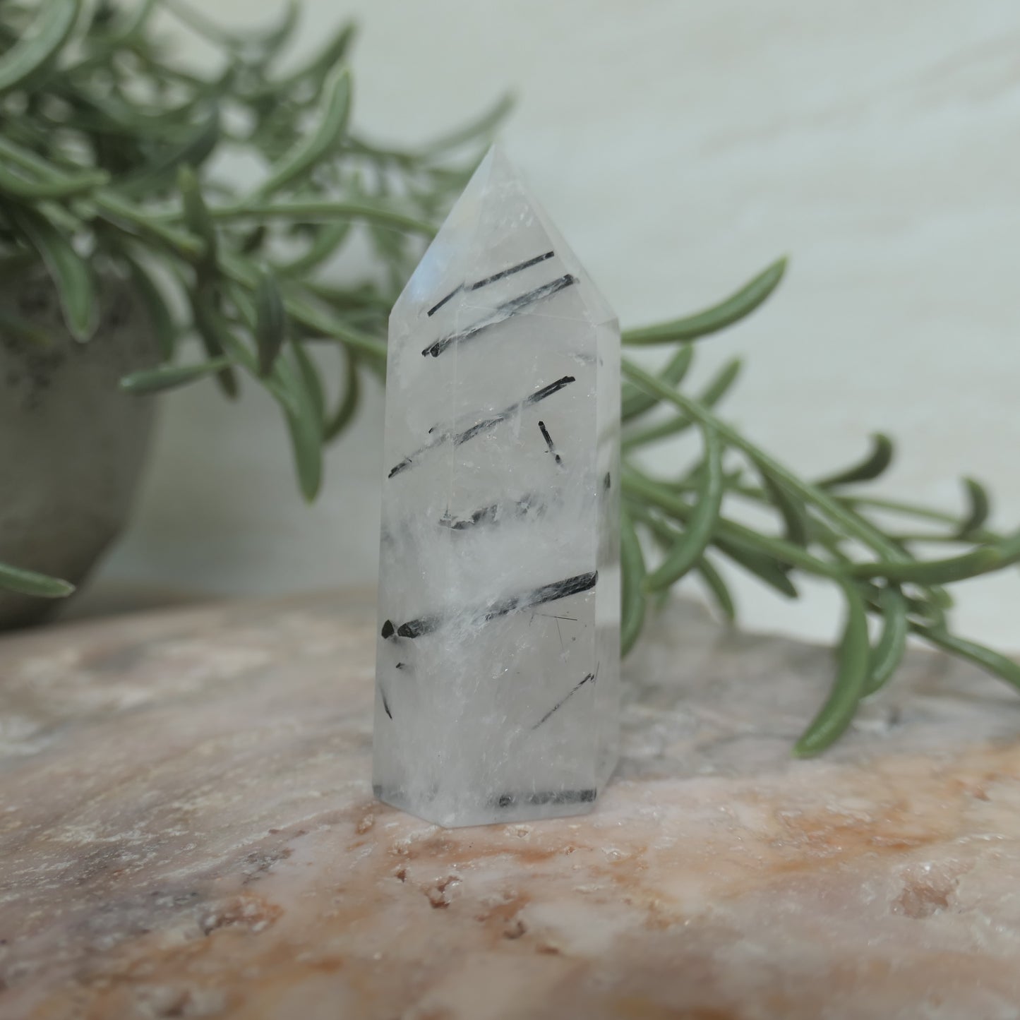 Tourmaline in Quartz Tower #2