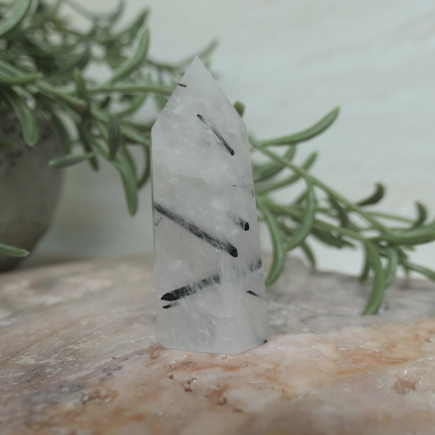 Tourmaline in Quartz Tower #2