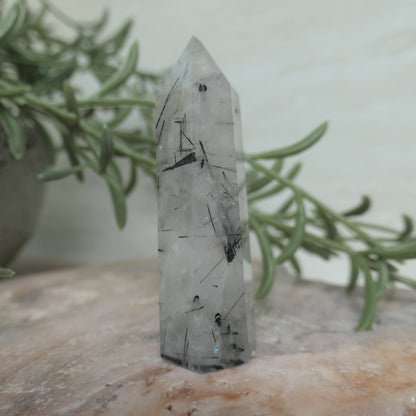 Tourmaline in Quartz Tower #3