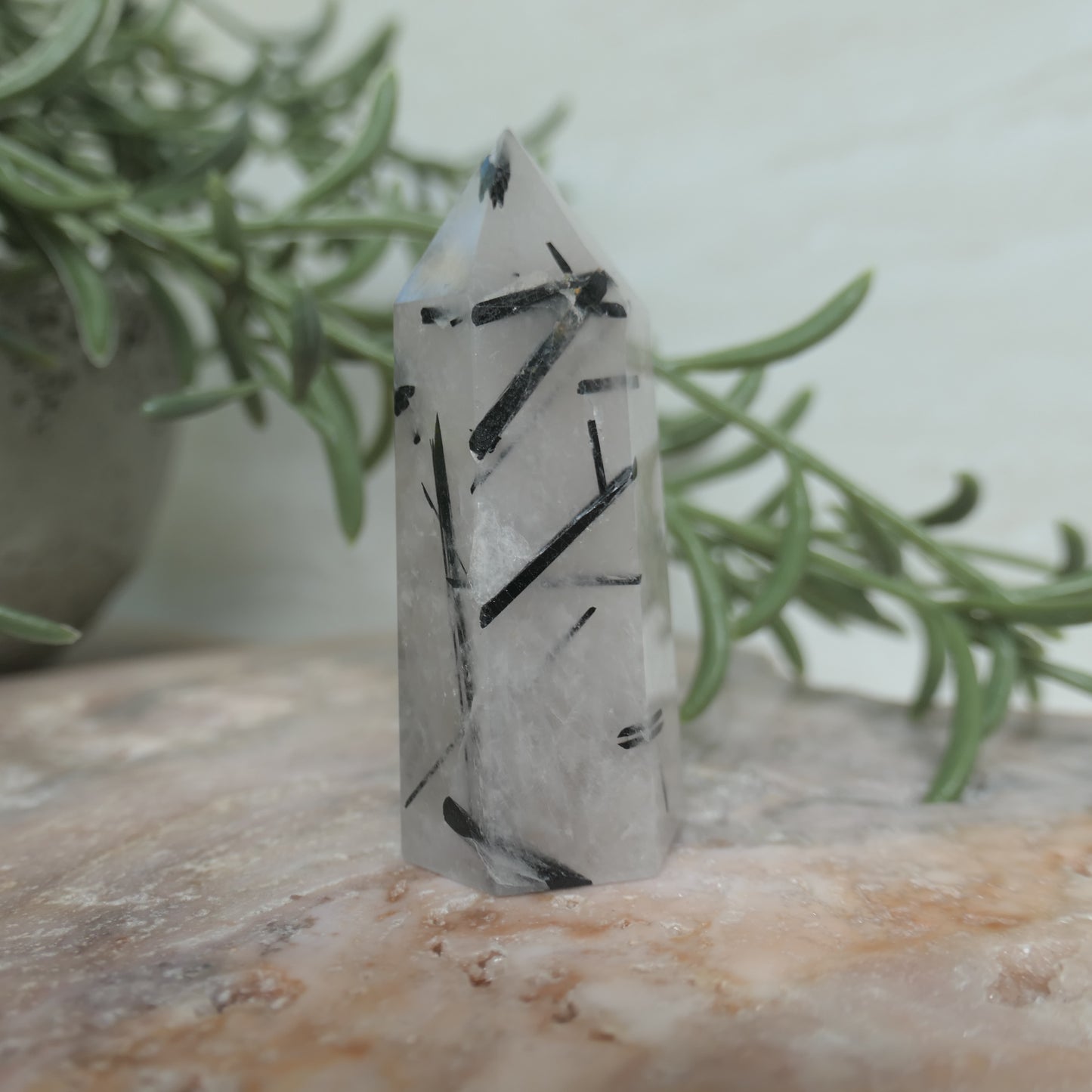 Tourmaline in Quartz Tower #4