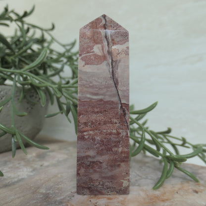 Pink Picture Jasper Tower #4