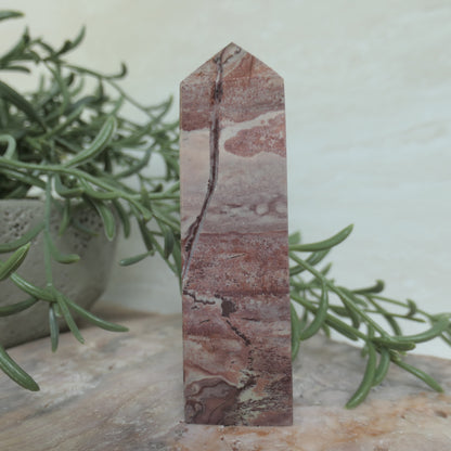Pink Picture Jasper Tower #4