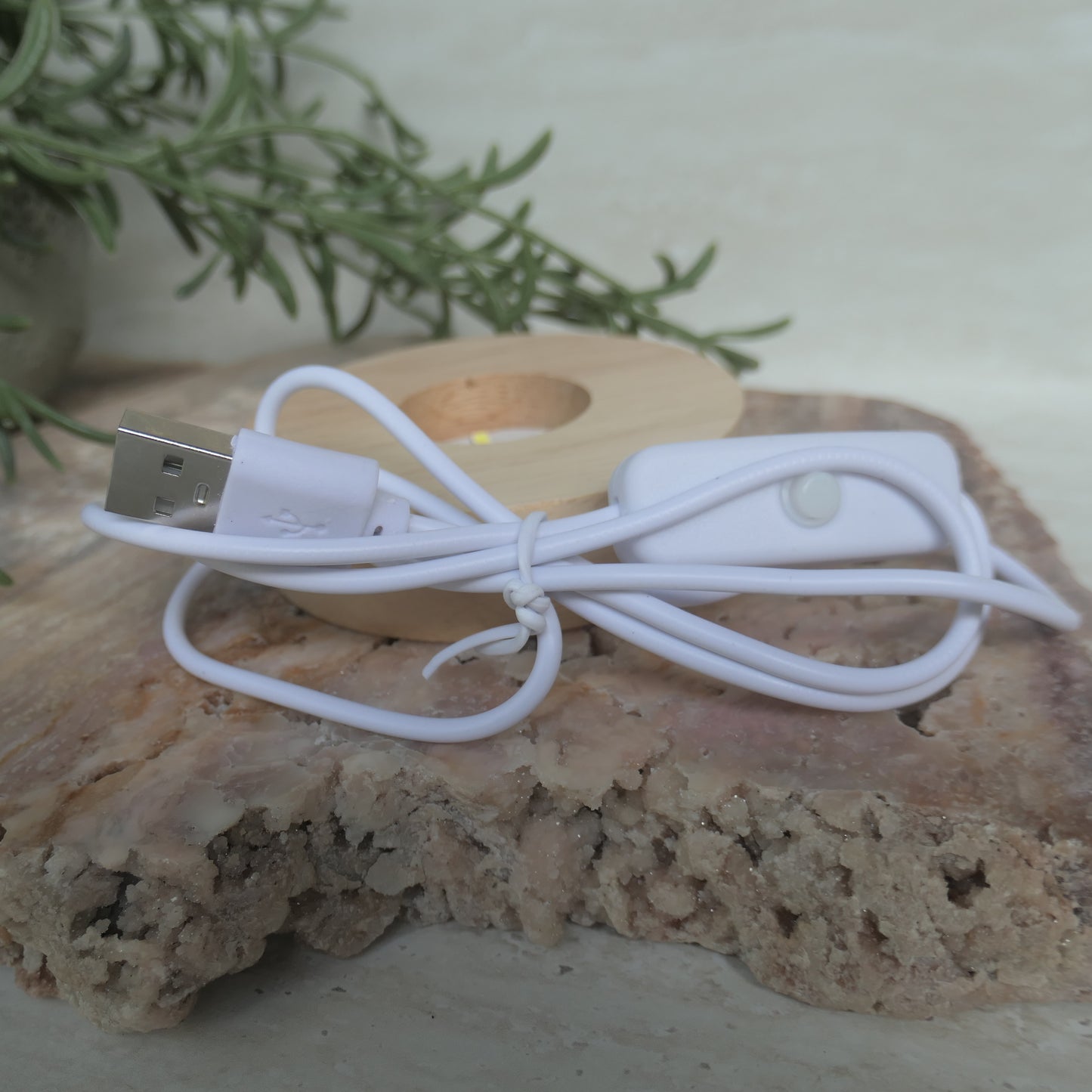 LED USB White Light Wooden Base