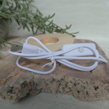 LED USB White Light Wooden Base