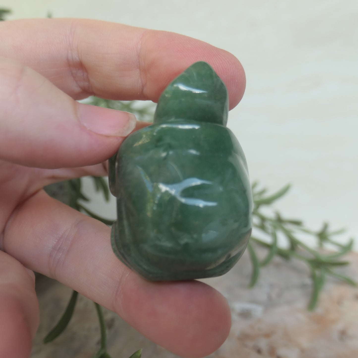 Turtle Carvings