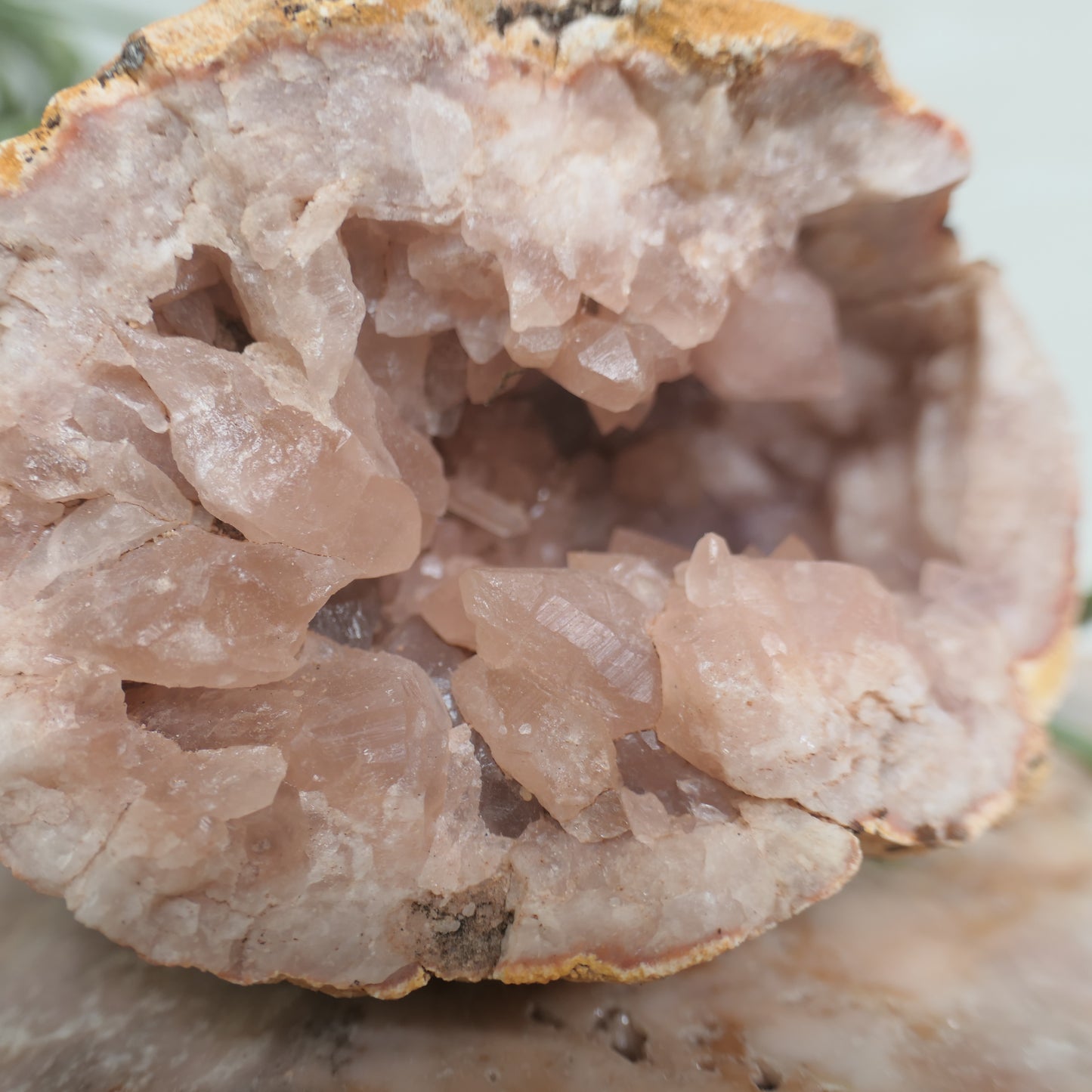 Pink Amethyst Cluster