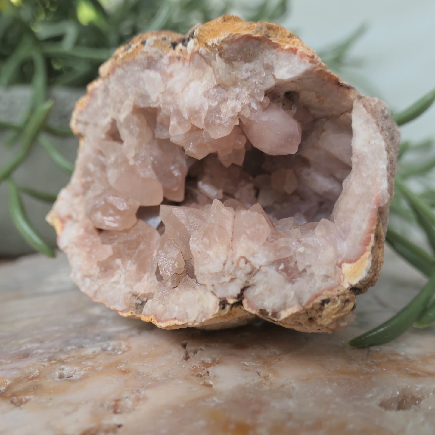 Pink Amethyst Cluster