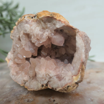 Pink Amethyst Cluster