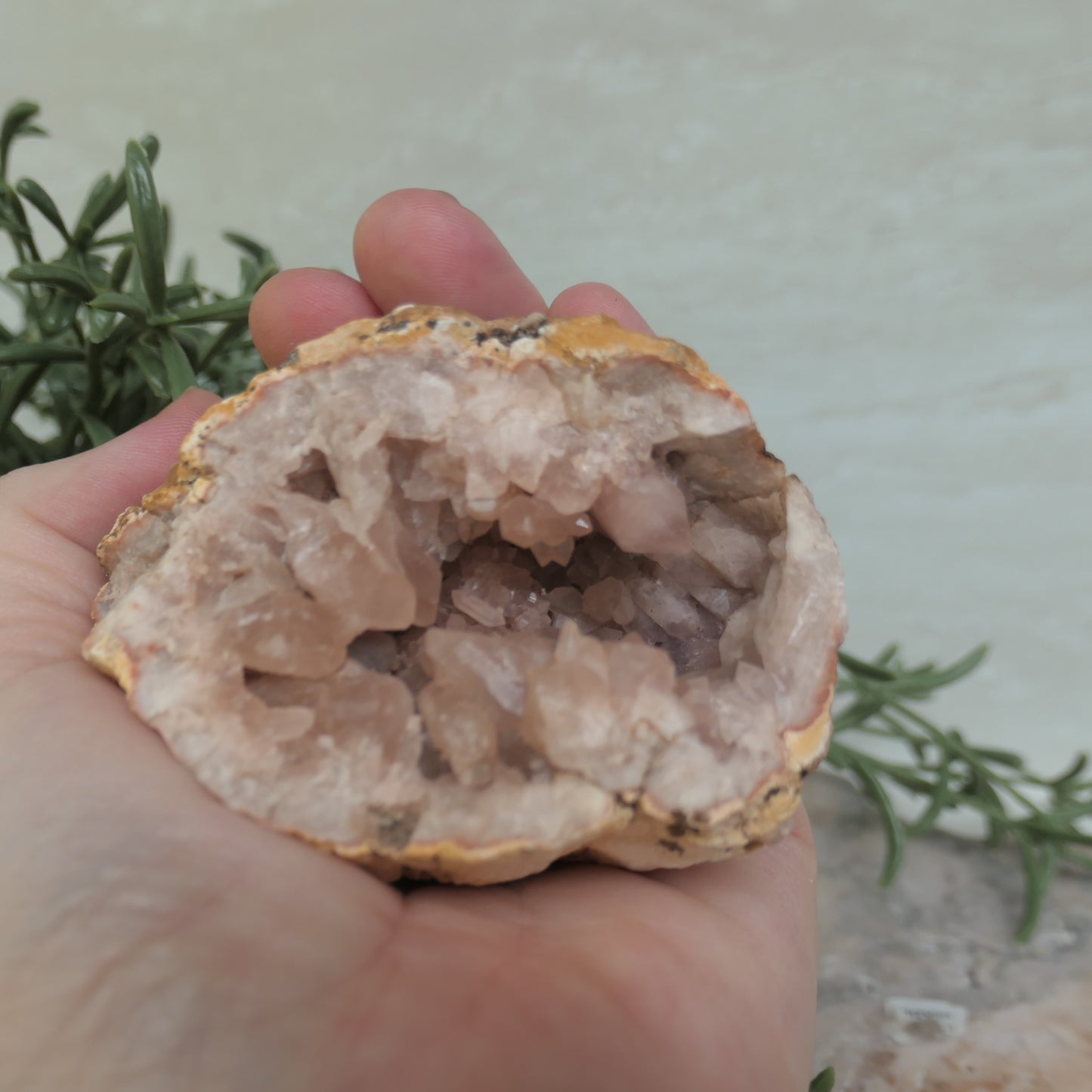 Pink Amethyst Cluster