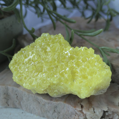 Sulphur Cluster #1 on Matrix