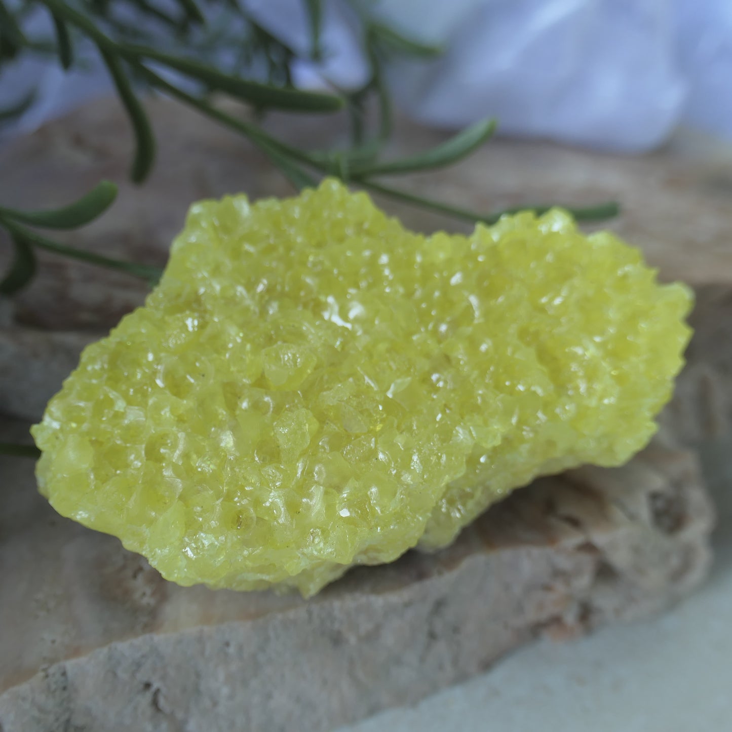Sulphur Cluster #1 on Matrix