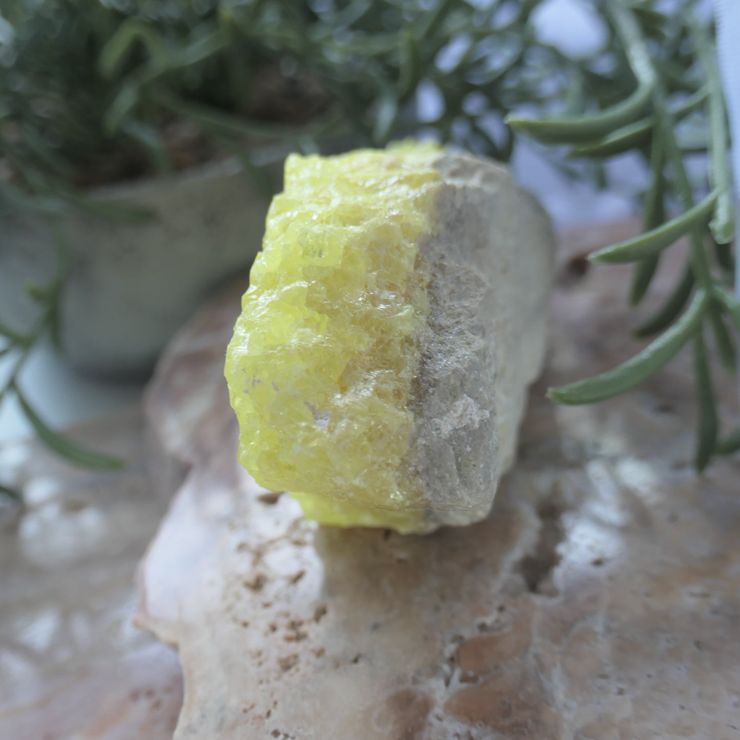Sulphur Cluster #1 on Matrix