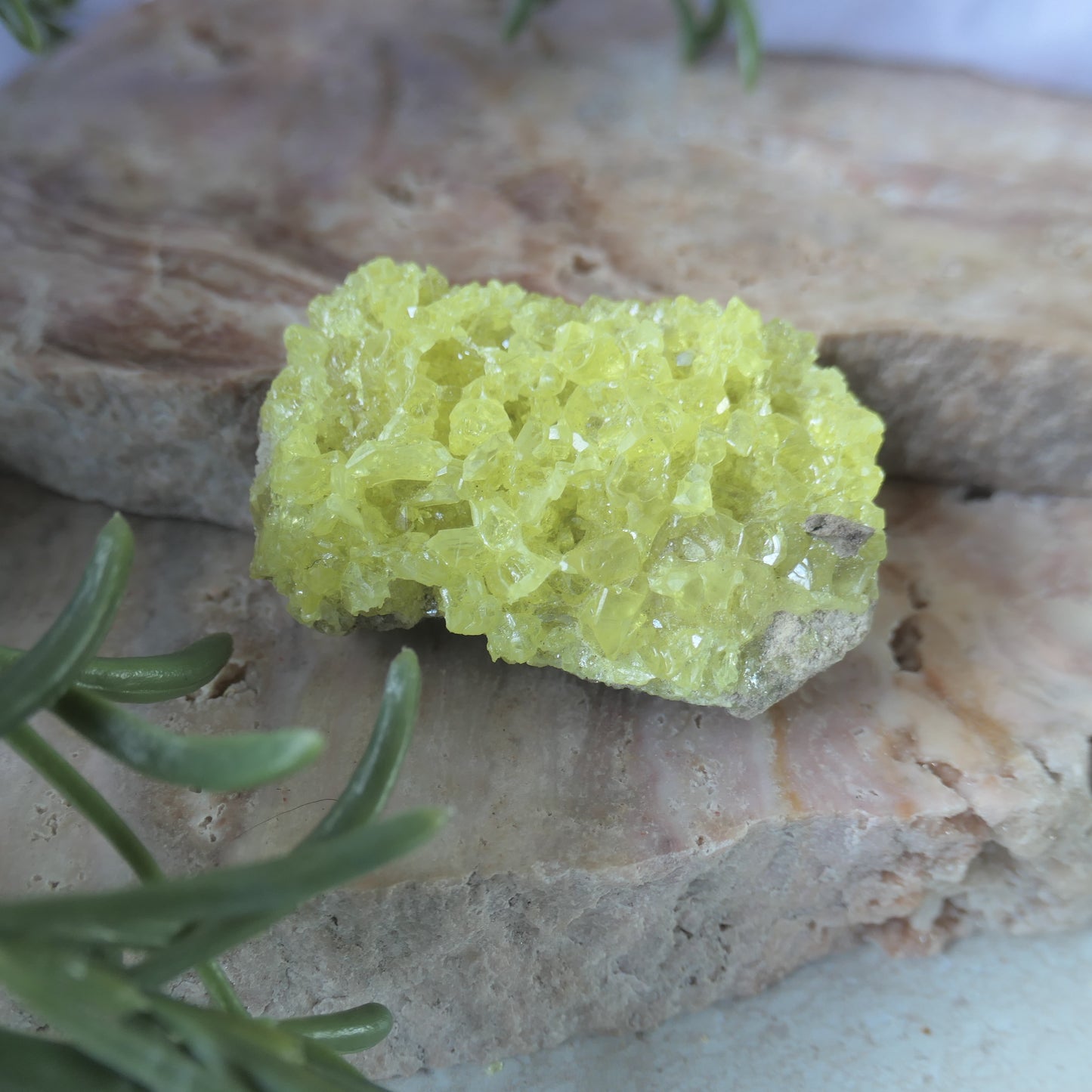 Sulphur Cluster #3 on Matrix