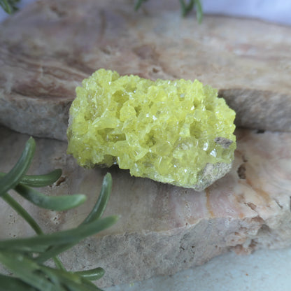 Sulphur Cluster #3 on Matrix