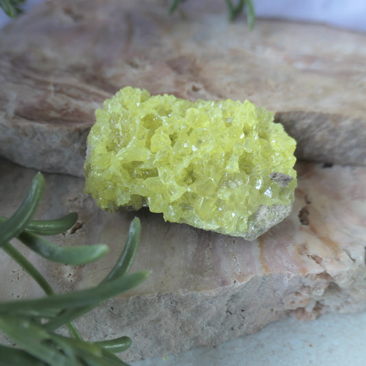 Sulphur Cluster #3 on Matrix