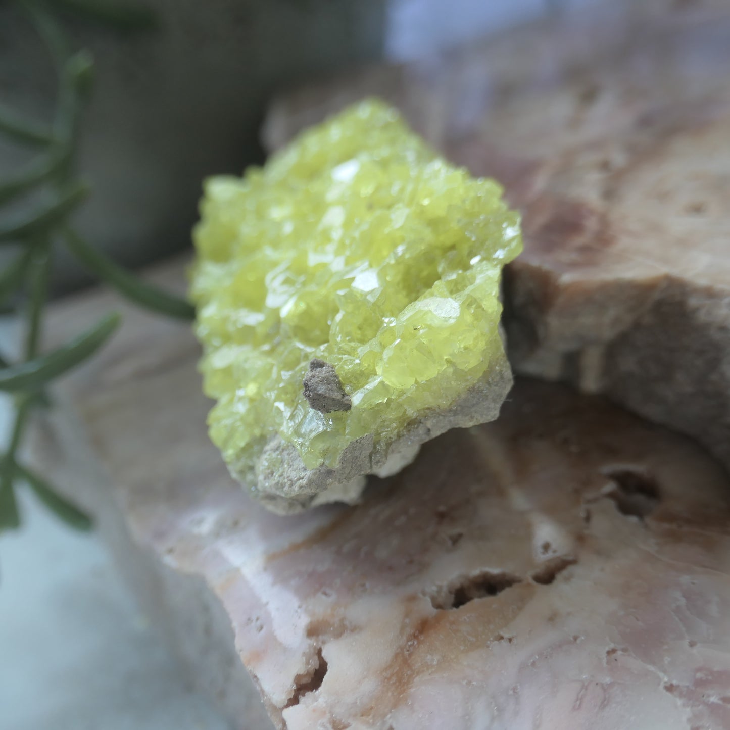 Sulphur Cluster #3 on Matrix