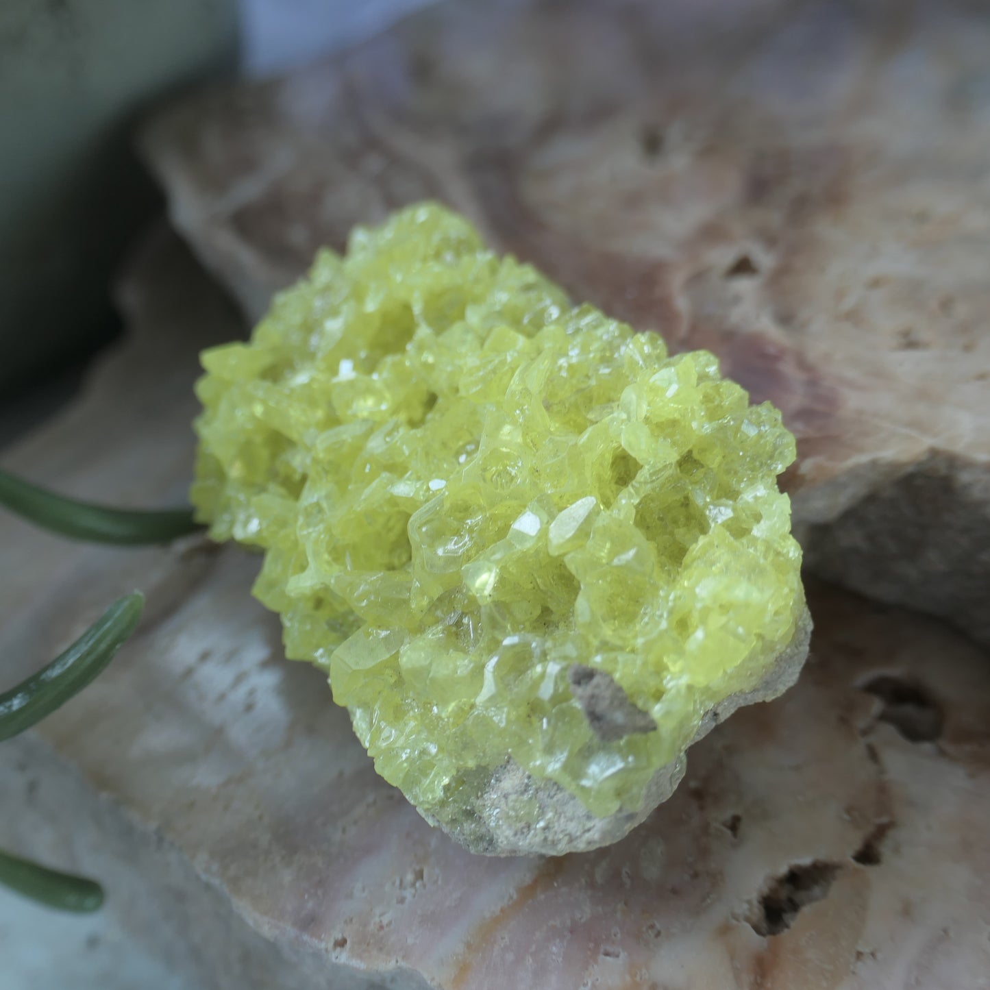 Sulphur Cluster #3 on Matrix