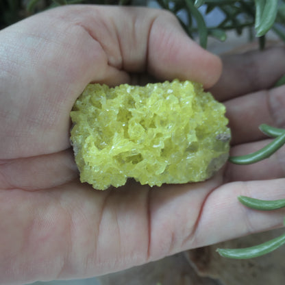 Sulphur Cluster #3 on Matrix