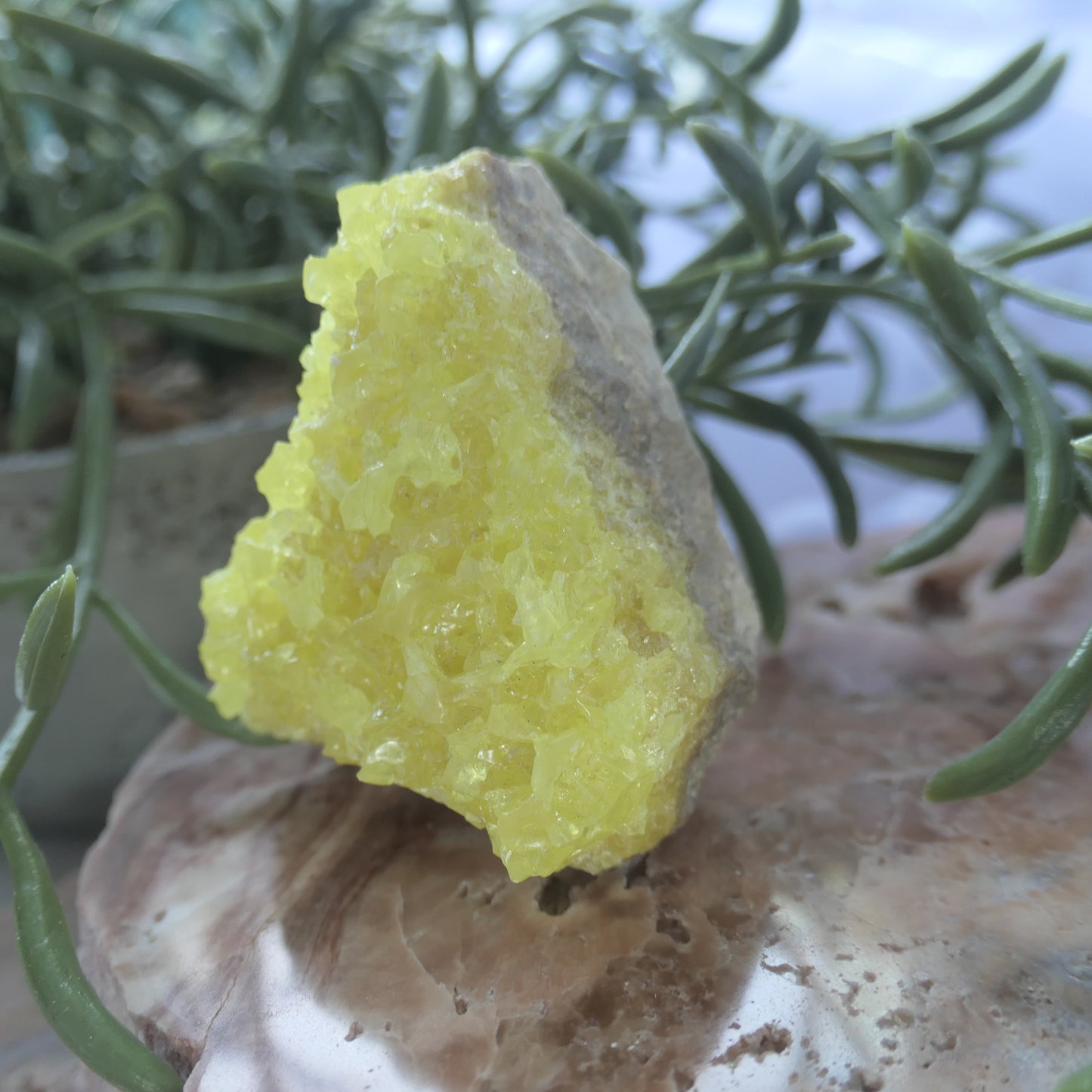 Sulphur Cluster #2 on Matrix