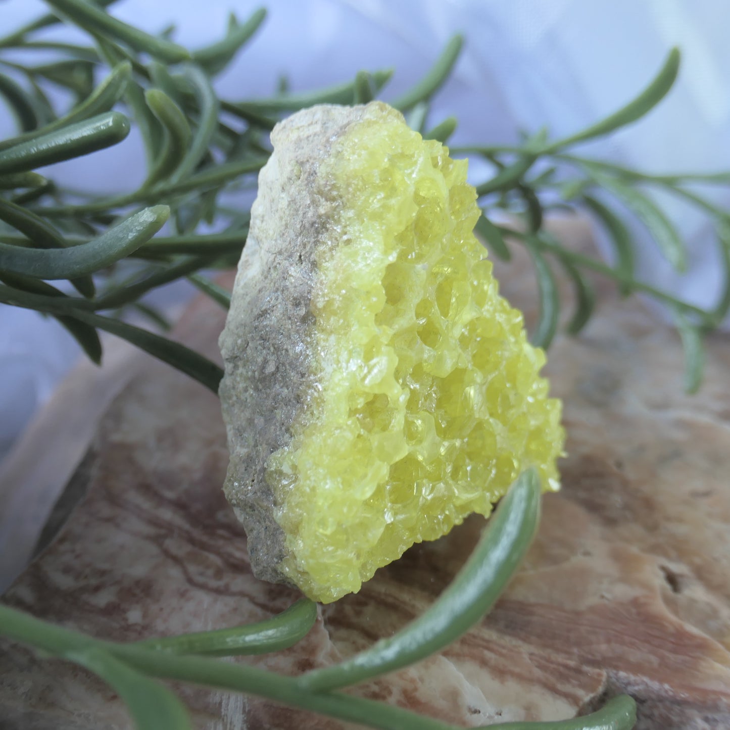 Sulphur Cluster #2 on Matrix