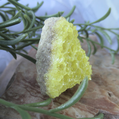 Sulphur Cluster #2 on Matrix