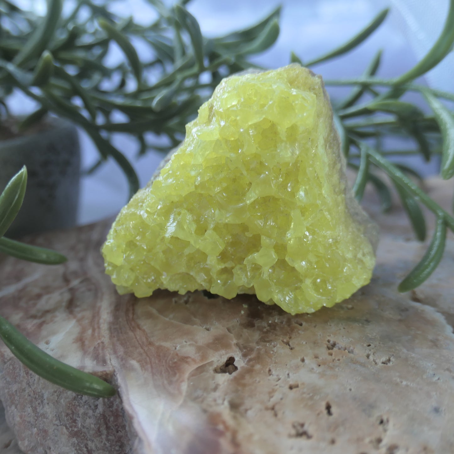 Sulphur Cluster #2 on Matrix