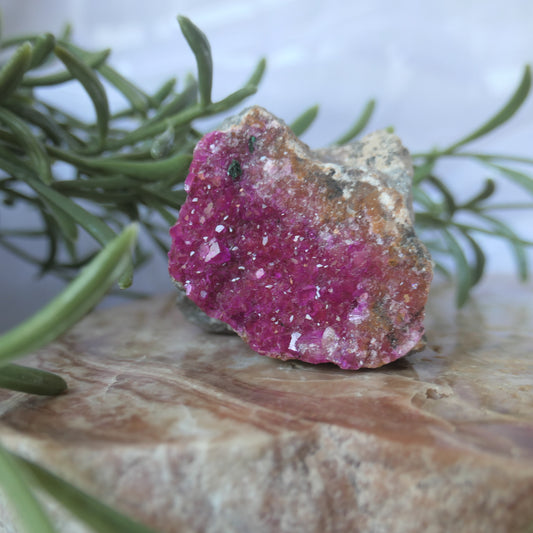 Cobaltoan Calcite - Gem Grade #2 on Matrix