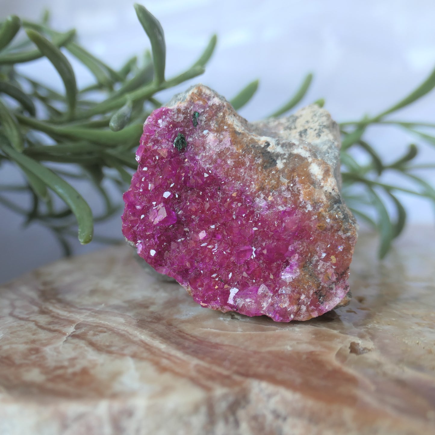 Cobaltoan Calcite - Gem Grade #2 on Matrix