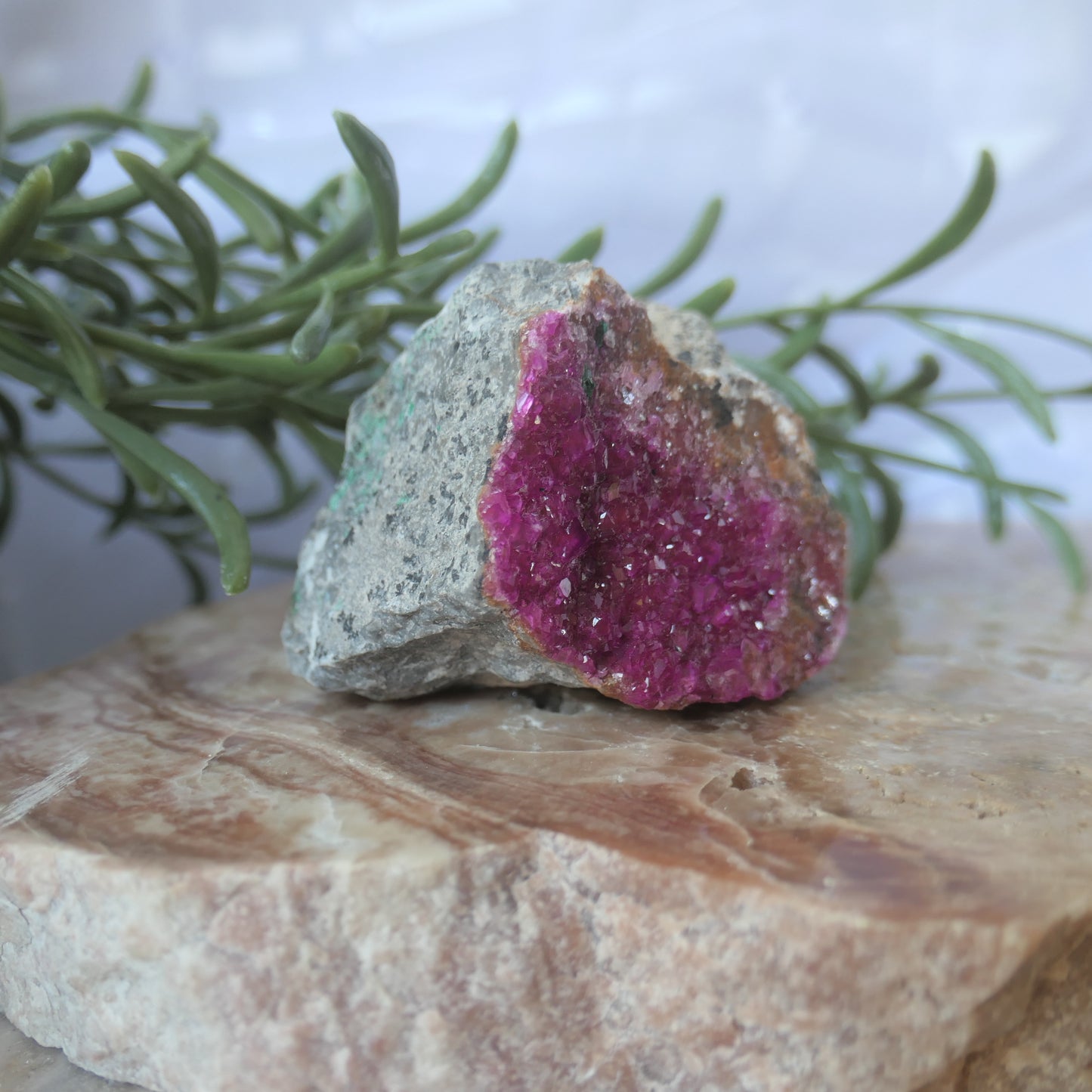 Cobaltoan Calcite - Gem Grade #2 on Matrix