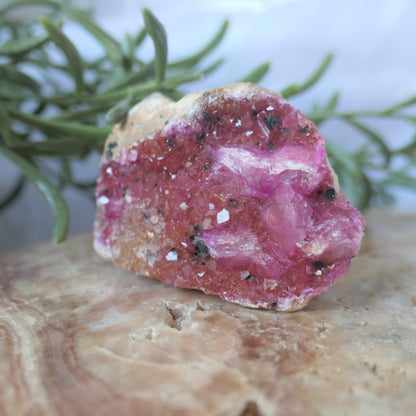 Cobaltoan Calcite - Gem Grade #1 on Matrix