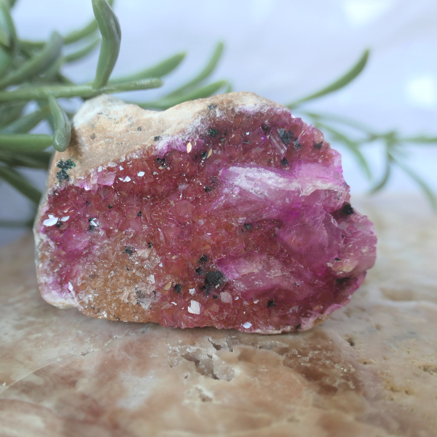 Cobaltoan Calcite - Gem Grade #1 on Matrix