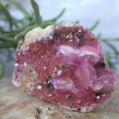 Cobaltoan Calcite - Gem Grade #1 on Matrix