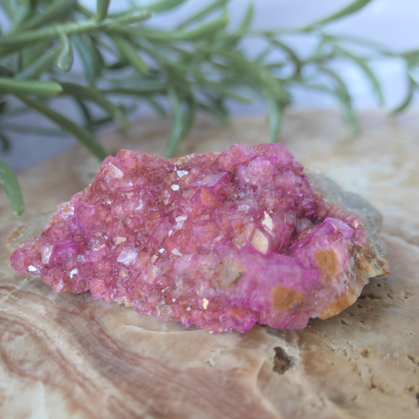 Cobaltoan Calcite - Gem Grade #3 on Matrix