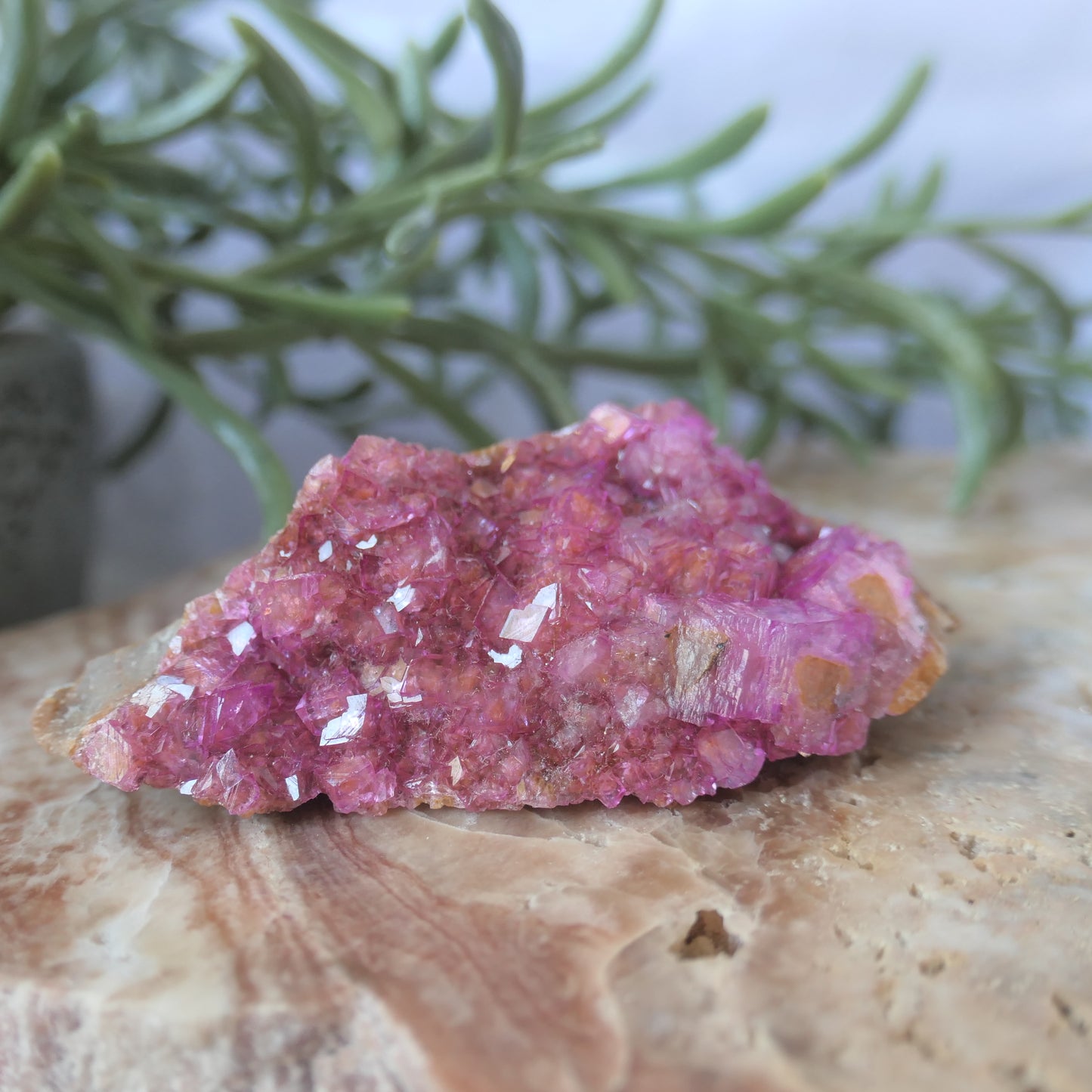 Cobaltoan Calcite - Gem Grade #3 on Matrix